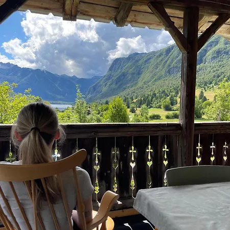 Vintage House Holiday home Bohinj